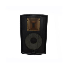 Bafle 15" Amplificado, 600w RMS, Filtros FIR  VAMAV  NOVA  F15-NOVA