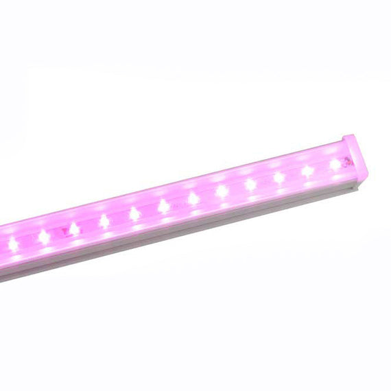 LAMPARA 96 LEDs FUCSIA, 14 WATTS MEGALUZ TIANLAI   T8X2C10F