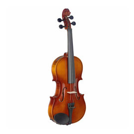 Violín 3/4 de arce con estuche blando de forma estándar, STAGG  VN-3/4-L