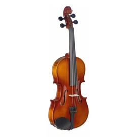 Violín 3/4 de arce macizo con estuche blando  STAGG  VN-3/4